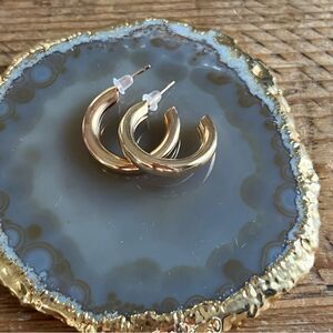 Beautiful Gold Tone Hoop Earrings - NWT